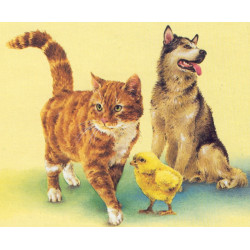 FREKVENCE A SKEN PRO ZVÍŘÁTKA