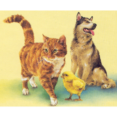 FREKVENCE A SKEN PRO ZVÍŘÁTKA